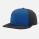 Royal/Black