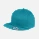 Shark Teal