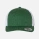 Evergreen/White
