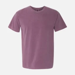 1717 Comfort Colors Heavyweight T-Shirt Adult